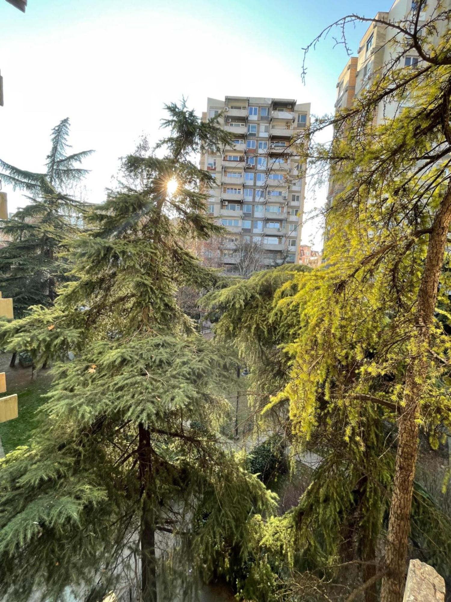 סקופיה Ruby Luxury Central Apartment מראה חיצוני תמונה